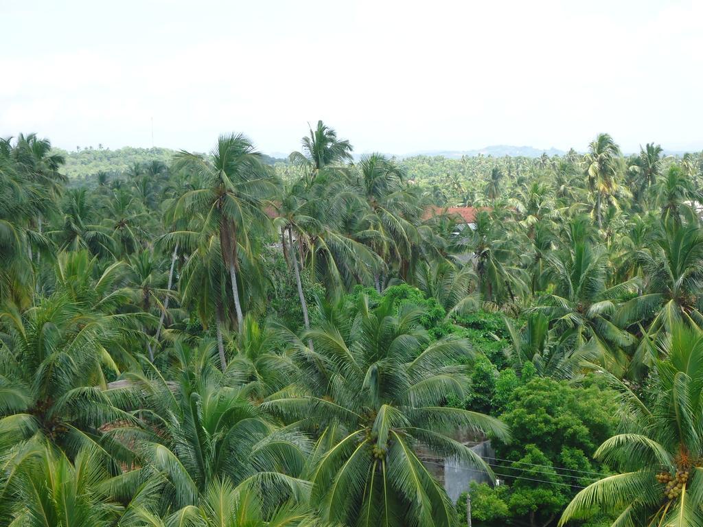 Mars Hotel Tangalle Exterior photo