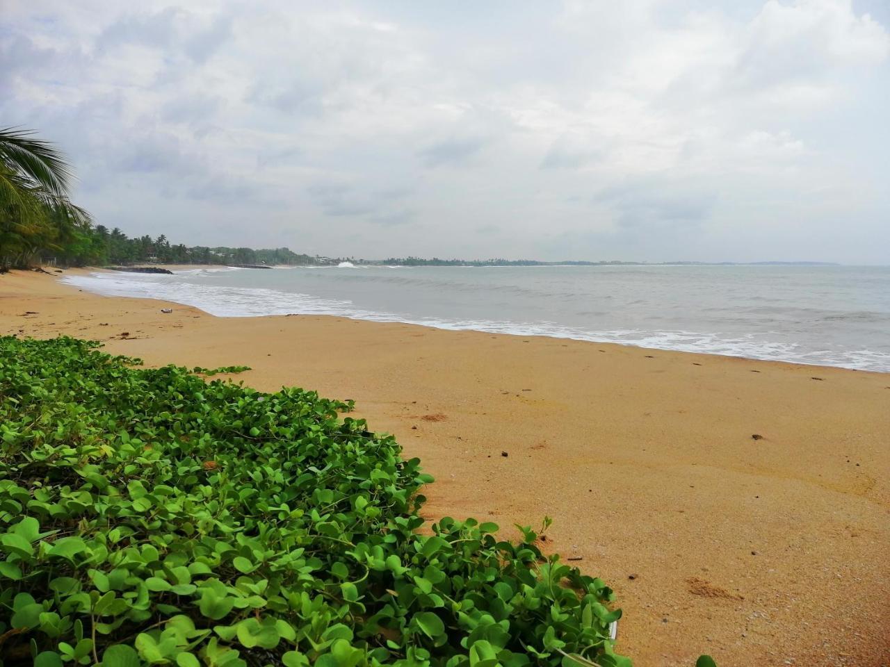Mars Hotel Tangalle Exterior photo