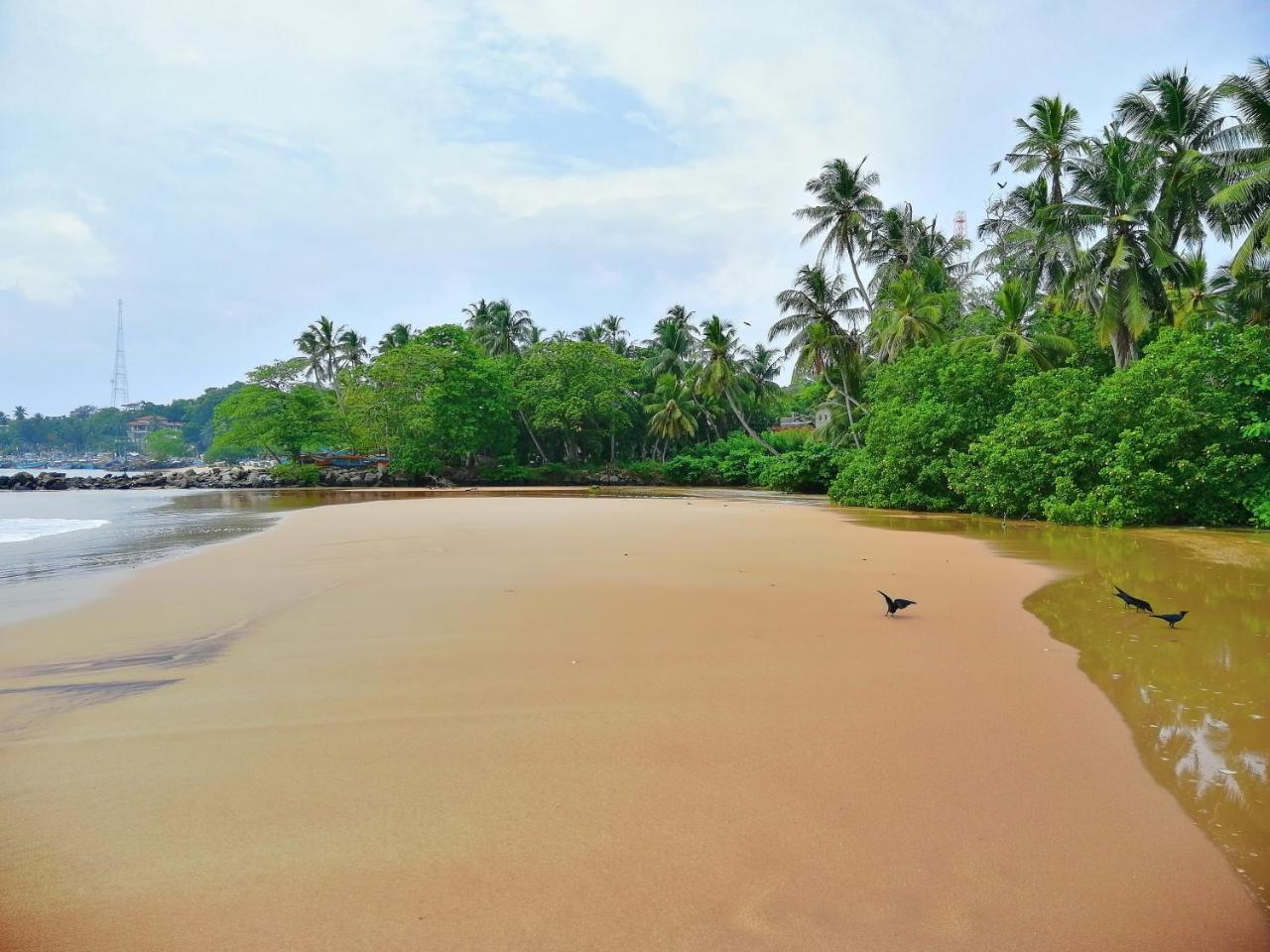Mars Hotel Tangalle Exterior photo