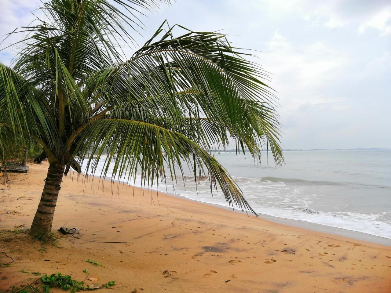 Mars Hotel Tangalle Exterior photo
